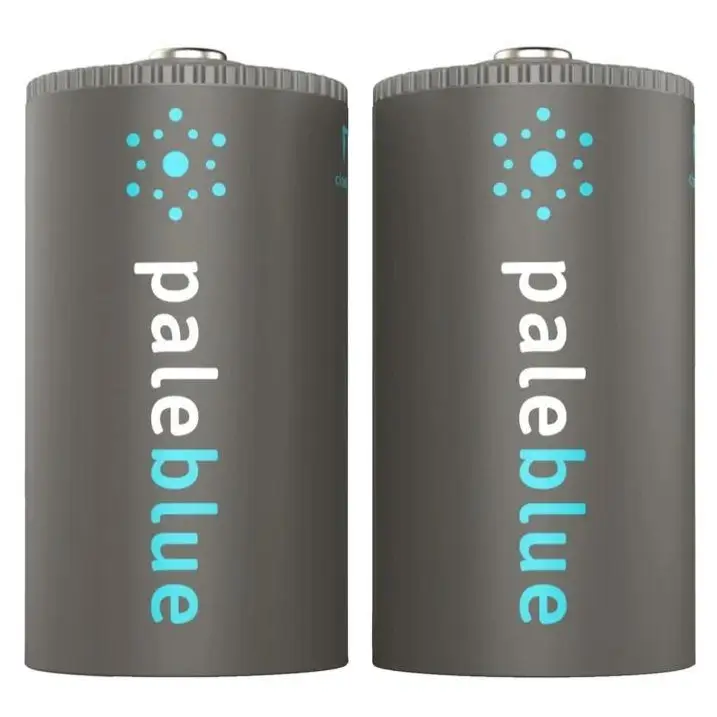 Pale Blue Li-Ion oplaadbare D-batterijen (2 stuks) met oplaadkabel