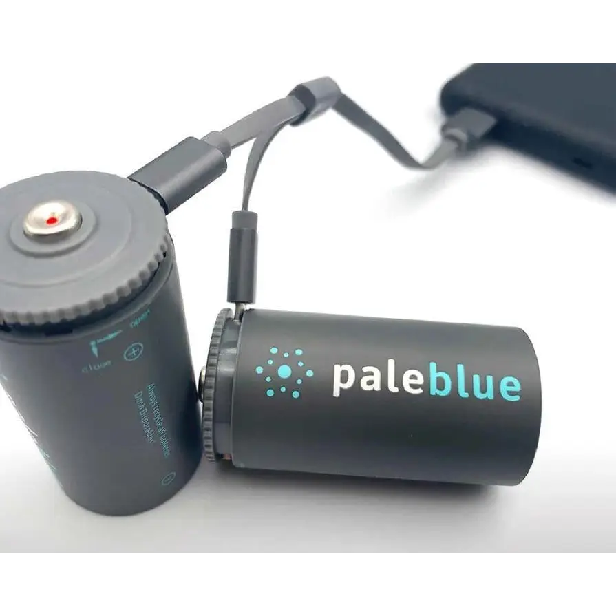 Pale Blue Li-Ion oplaadbare D-batterijen (2 stuks) met oplaadkabel