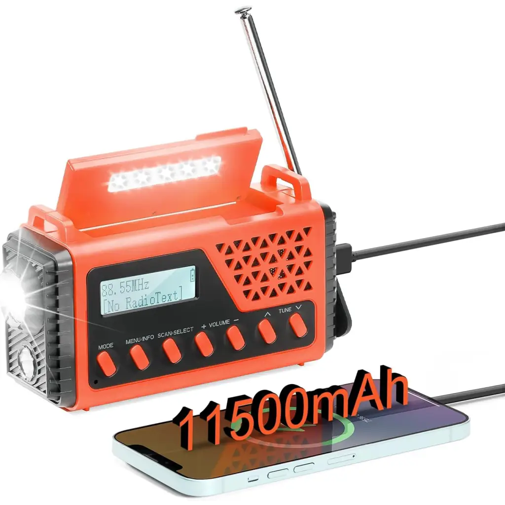 Raddy SD10 noodradio